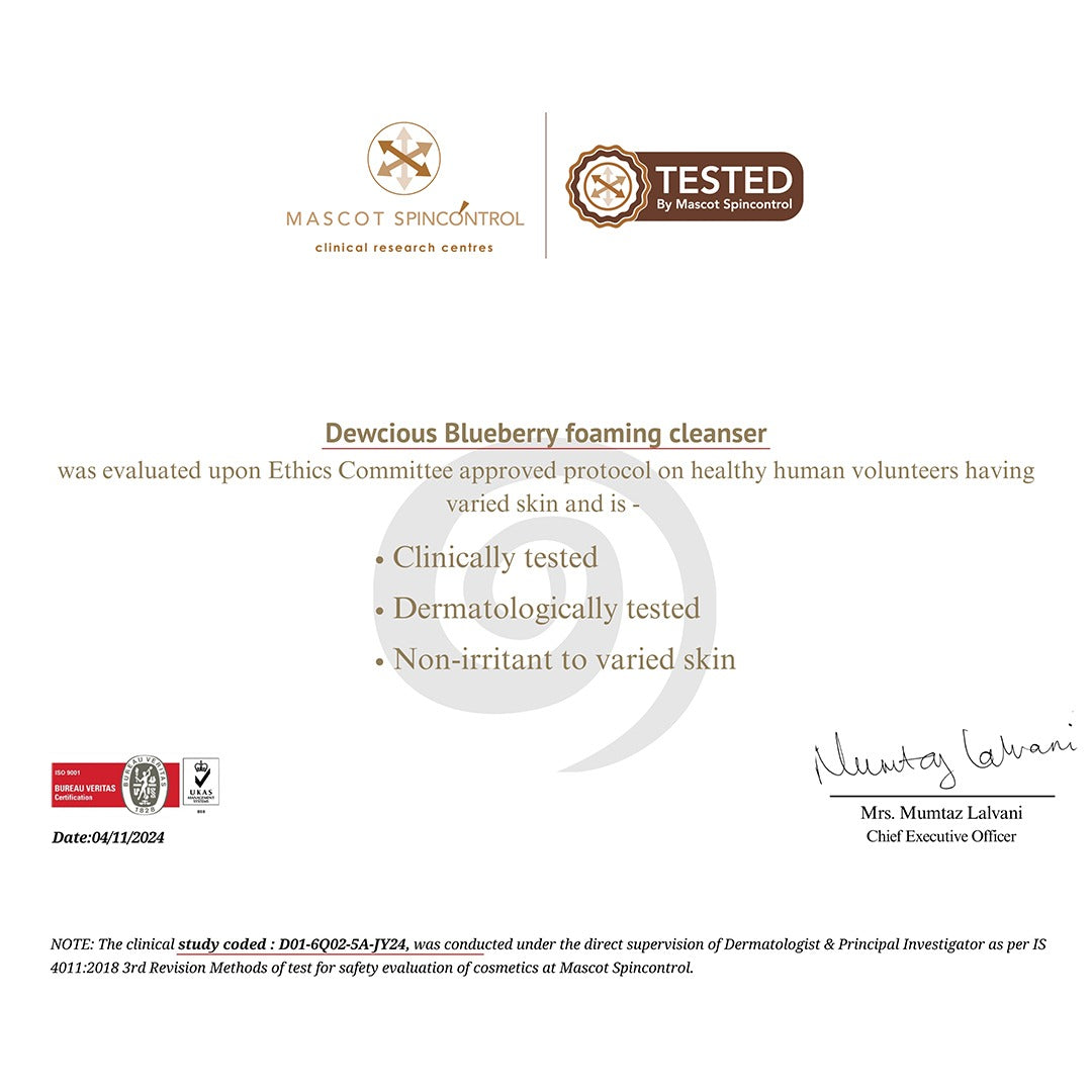 Blueberry Foaming Cleanser