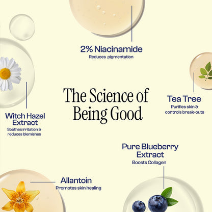 Blueberry Foaming Cleanser